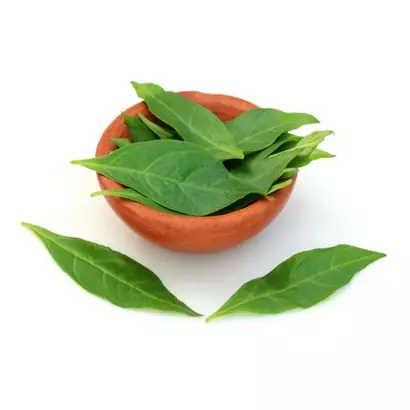 Mehendi Leaves 1 Bundile